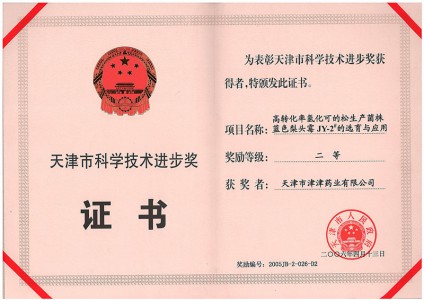 2006年天津市科学技术进步二等奖