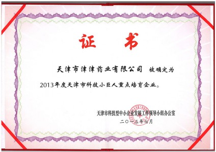 2013年度天津市科技小巨人重点培育企业